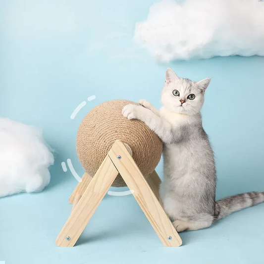 π Essential Supplies Every New Pet Owner Needs πΎπ‘ - Happy Tail Center