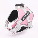Reflective Letter Graphic Pet Harness for Dogs - Outdoor Safety