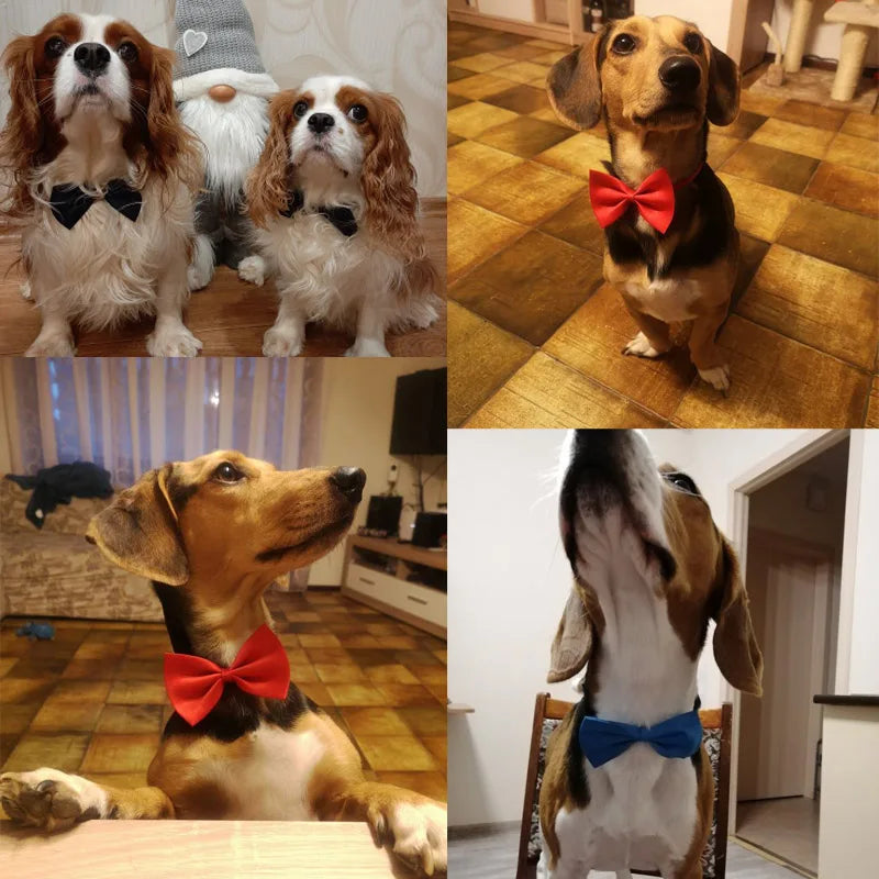 Stylish Adjustable Pet Necklace with Bow Tie for Dogs and Cats