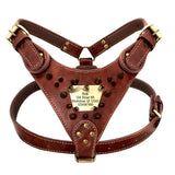 Durable Personalized Dog Harness Vest with Anti-Lost Tag & Handle - For Medium & Large Dogs