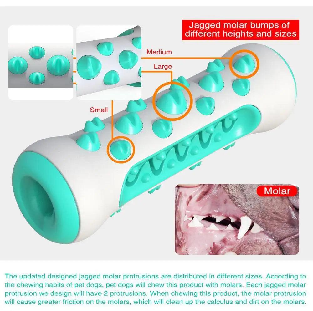 Dog Molar Toothbrush Toy | Keep Your Dog's Teeth Clean and Healthy - Happy Tail Center