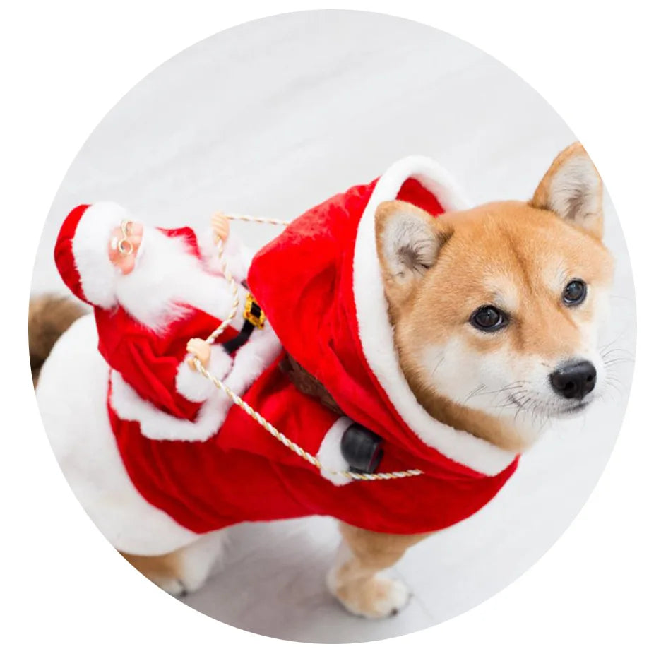Designer Christmas Santa Claus Riding Clothes for Dogs β Winter Warm Pet Costumes for Small and Large Breeds - Happy Tail Center