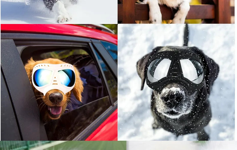 Protective Dog Sunglasses - Shield Your Furry Friend's Eyes in Style! - Happy Tail Center