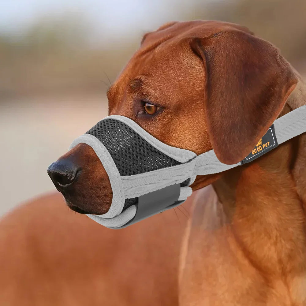 Mesh Nylon Dog Muzzle – Anti-Biting Training Muzzle for Small, Medium, Large Dogs - Happy Tail Center