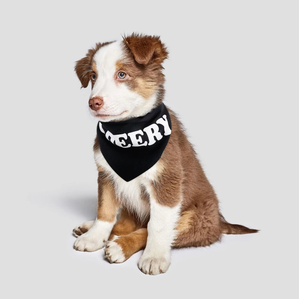 Personalized Dog Bandanas - Custom Cotton Pet Scarves with Bow Ties for Dogs and Cats