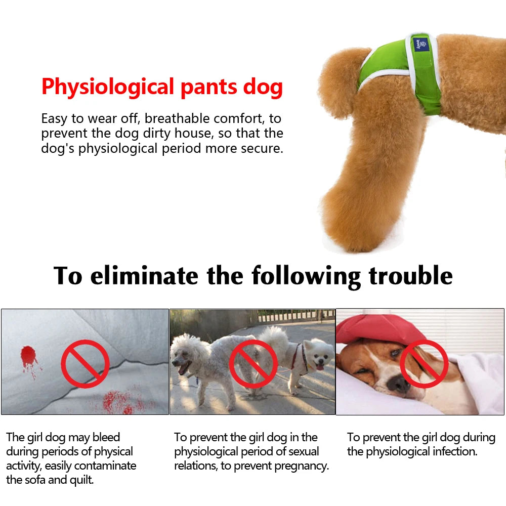 ComfyPaws Washable Dog Diapers | Comfortable and Hygienic Solution for Your Female Dog - Happy Tail Center