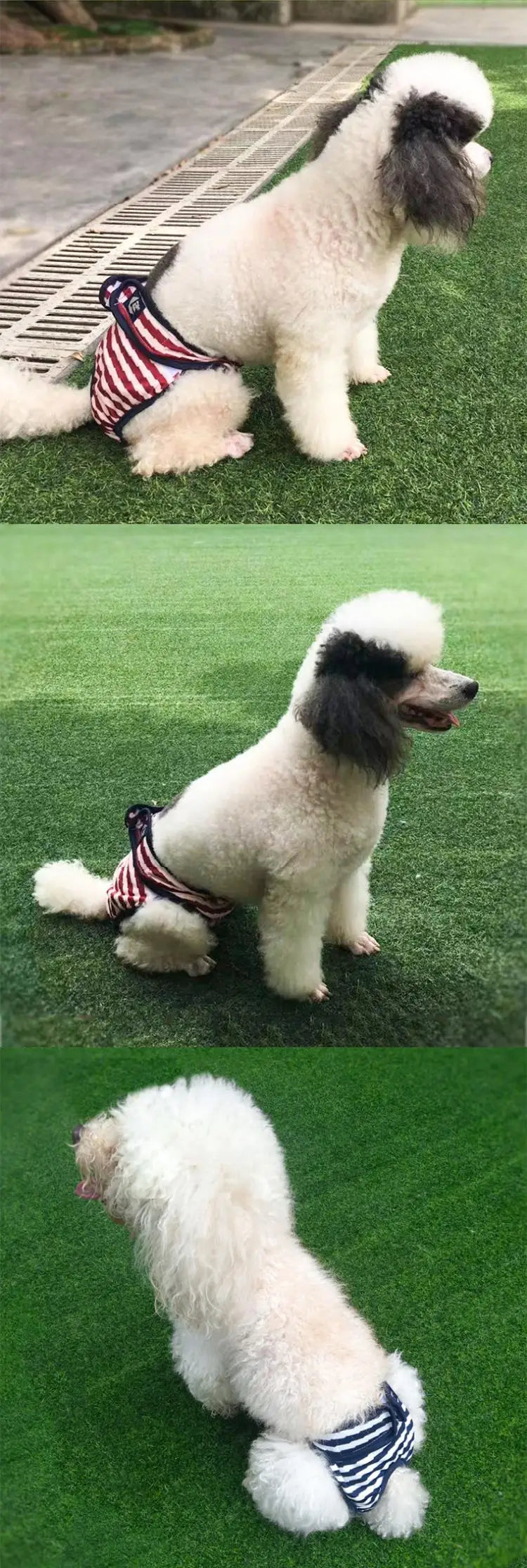 Washable Pet Dog Diaper Physiological Pants - Happy Tail Center