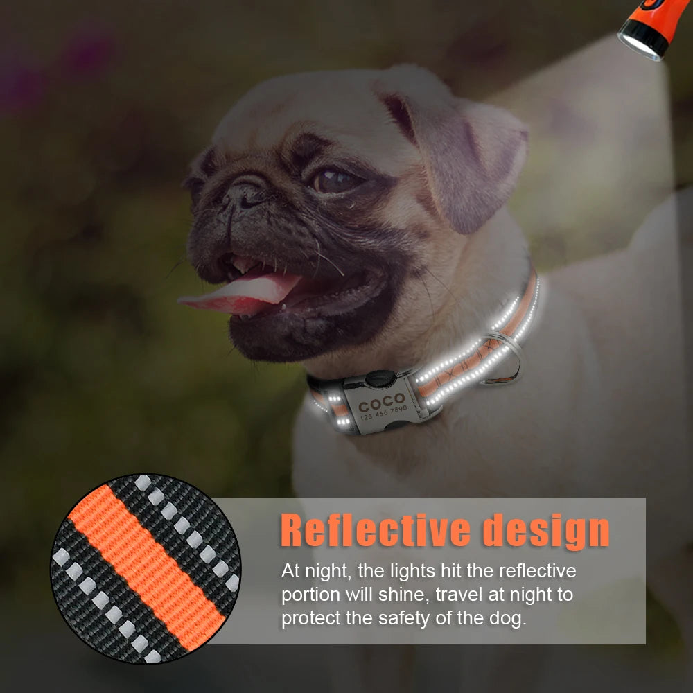 Personalized Nylon Dog Collar – Engraved ID Tag - Happy Tail Center