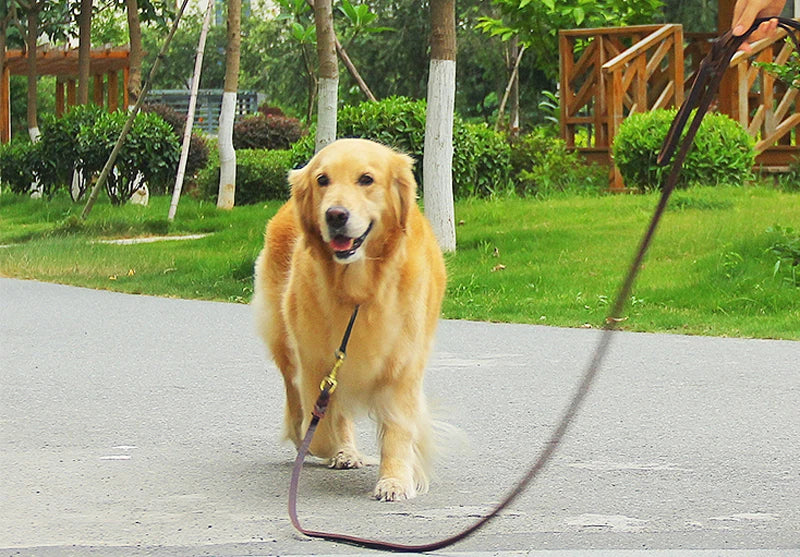Genuine Leather Braided Dog Leash - Brown & Black for Medium Large Dogs