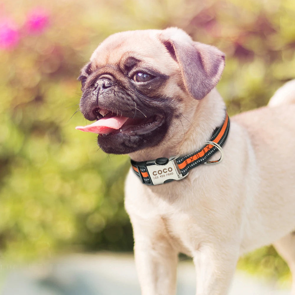Personalized Nylon Dog Collar – Engraved ID Tag - Happy Tail Center