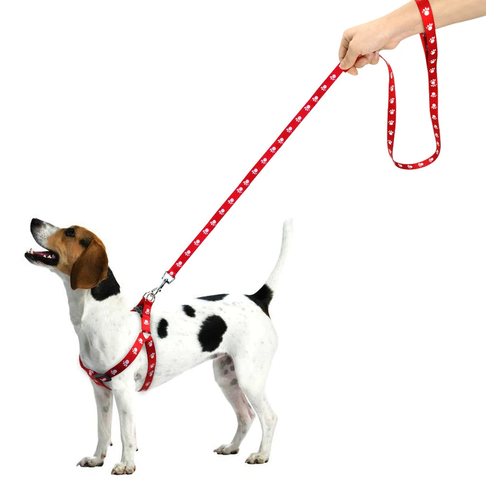 PawPrint Puppy Harness and Leash Set - Safety and Style for Your Little Pup! - Happy Tail Center