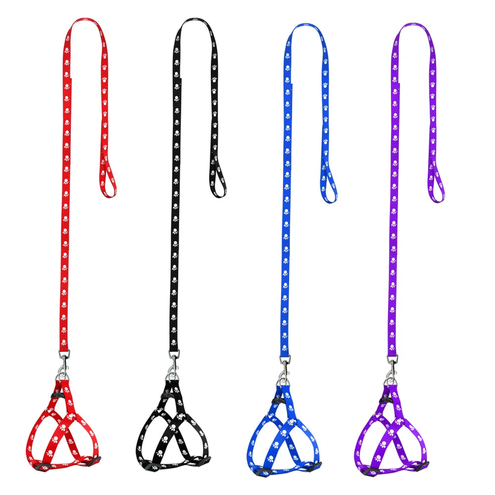 PawPrint Puppy Harness and Leash Set - Safety and Style for Your Little Pup! - Happy Tail Center