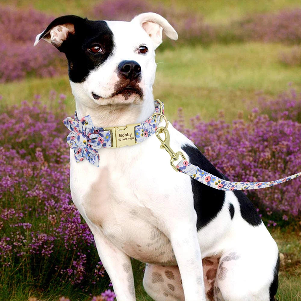 Personalized PetalPrint Dog Collar and Leash Set - Happy Tail Center