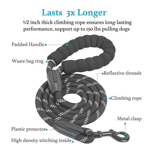 Dual Pet Dog Leash Elastic Rope for Walking Two Dogs - Happy Tail Center