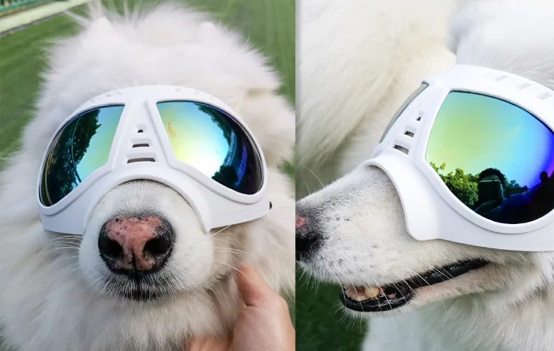 Protective Dog Sunglasses - Shield Your Furry Friend's Eyes in Style! - Happy Tail Center