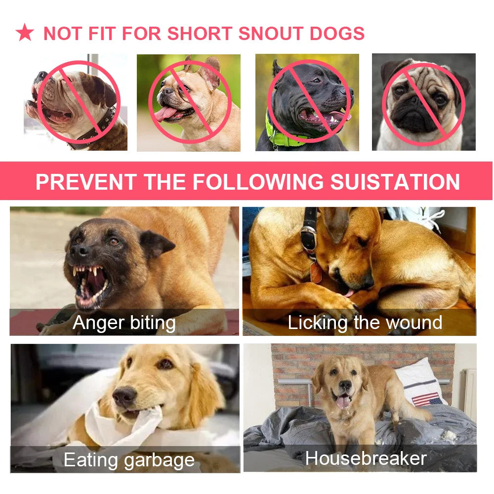 Mesh Nylon Dog Muzzle – Anti-Biting Training Muzzle for Small, Medium, Large Dogs - Happy Tail Center