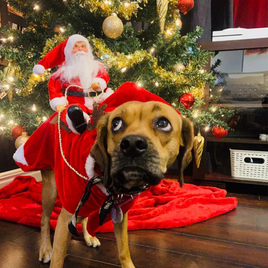 Designer Christmas Santa Claus Riding Clothes for Dogs β Winter Warm Pet Costumes for Small and Large Breeds - Happy Tail Center