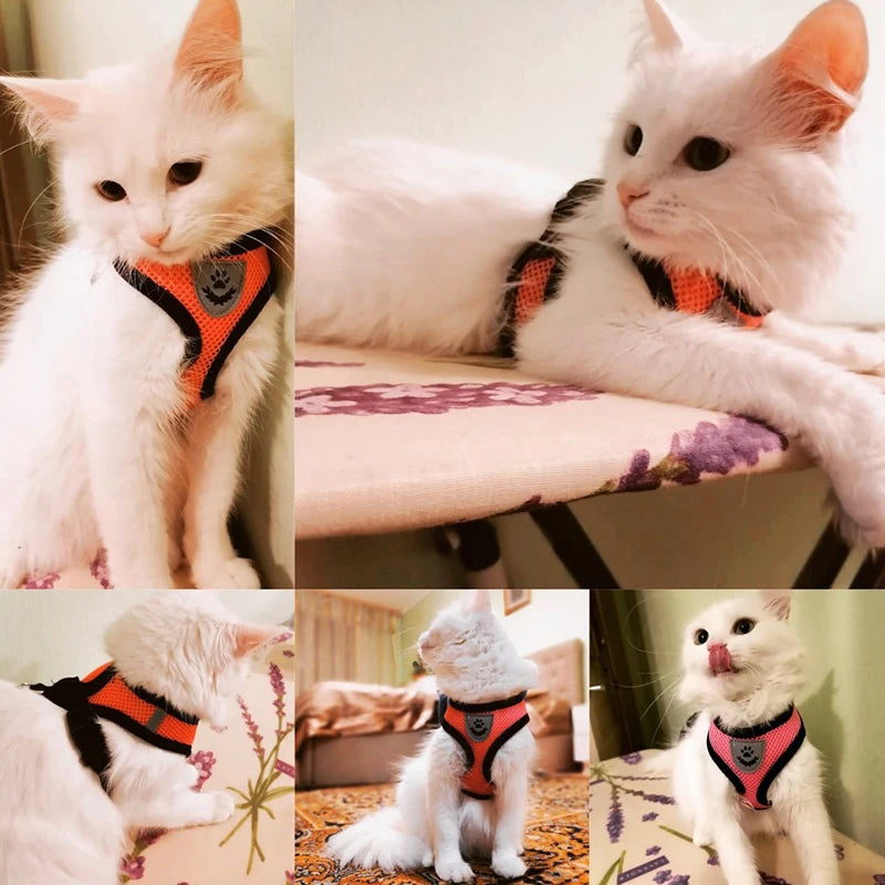 Adjustable Cat Harness Vest with Leash - Mesh Walking Collar for Small Dogs and Pets