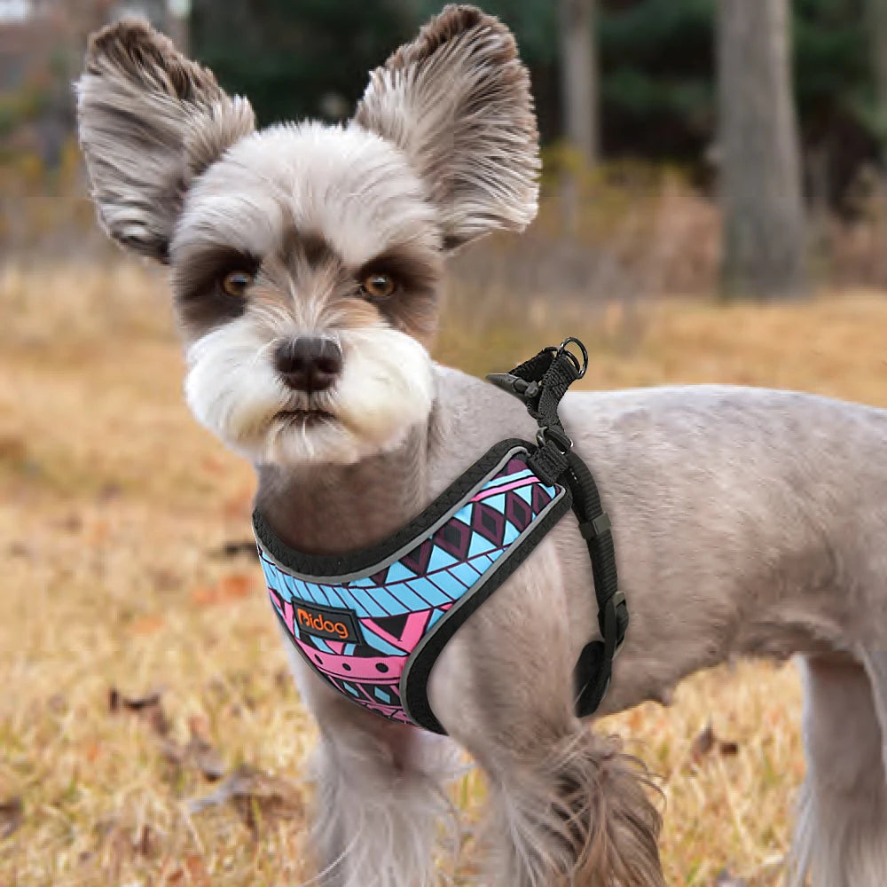 Reflective Printed Mesh Nylon Puppy Dog Harness - Ideal for Small to Medium Dogs & Cats - Happy Tail Center