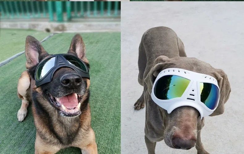 Protective Dog Sunglasses - Shield Your Furry Friend's Eyes in Style! - Happy Tail Center
