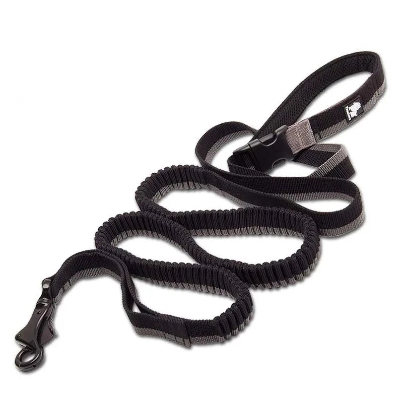 Adjustable Nylon Bungee Dog Leash | Hand-Held or Waist-Worn Retractable Lead for Running, Jogging, and Walking - Happy Tail Center