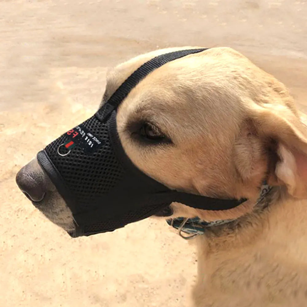 Mesh Breathable Dog Muzzle – Anti-Biting Nylon Training Muzzle for Dogs - Happy Tail Center