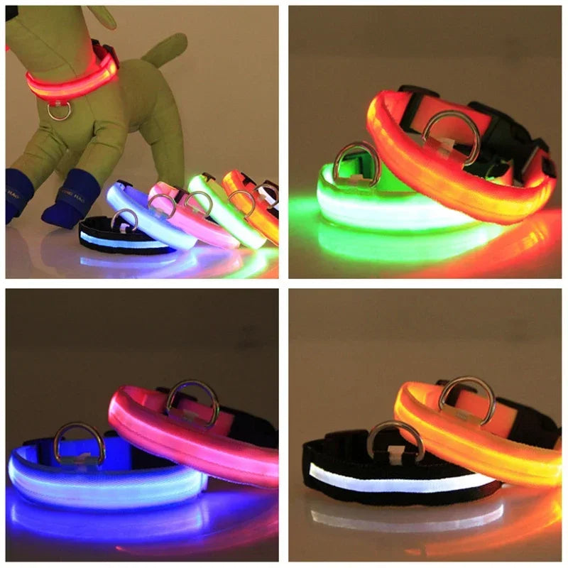 USB Charging LED Dog Collar | Safety Night Light Flashing Necklace for Dogs