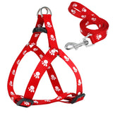 PawPrint Puppy Harness and Leash Set