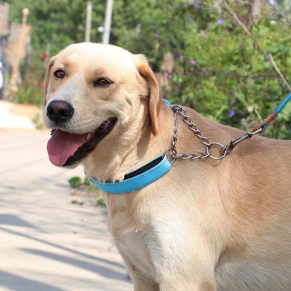 Reflective Adjustable Stainless Steel Choke Collar - Training Collar for Dogs