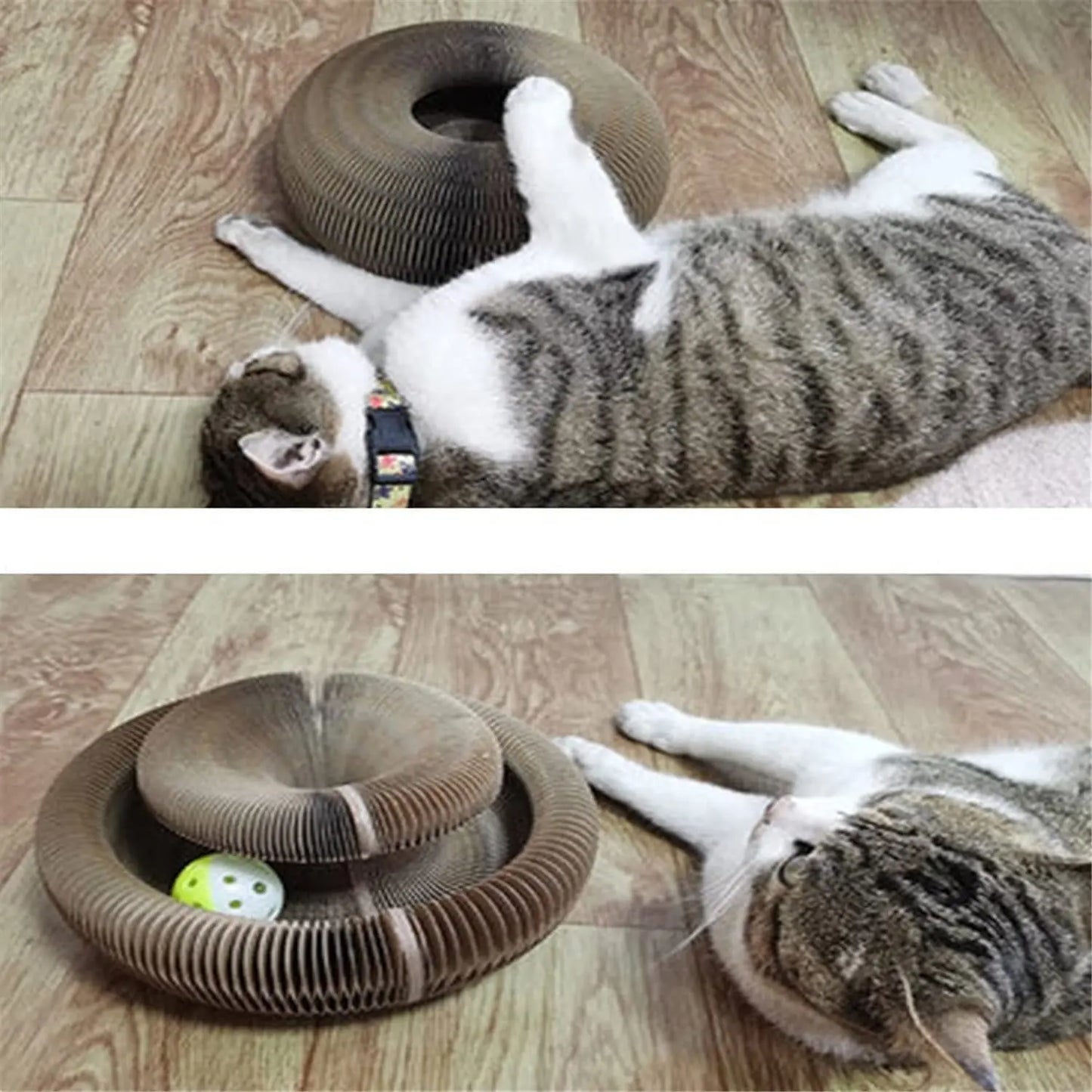 Magic Organ Cat Scratch Board with Bell – Multifunctional Claw Grinding & Climbing Toy - Happy Tail Center