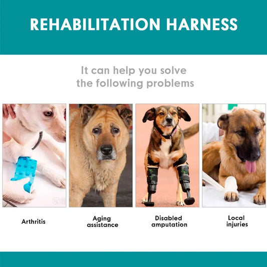 Durable Dog Lift Harness and Leash – Rehabilitation and Hip Support for Medium to Large Dogs - Happy Tail Center