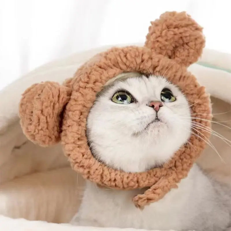 Cute Bear Rabbit Hooded Pet Hat – Cosplay Accessories for Cats and Dogs, Winter Velvet Headgear - Happy Tail Center