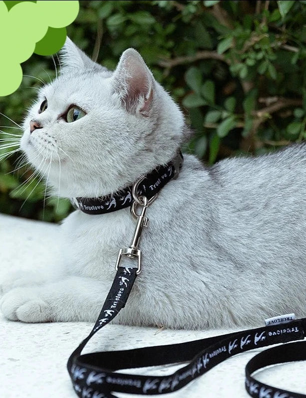 Escape-Proof Cat Collar and Leash Set โ Adjustable H-Shaped Design - Happy Tail Center