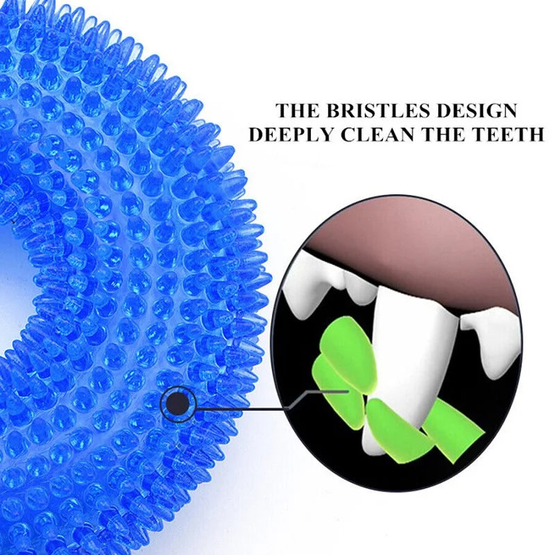 Squeaky Interactive Dog Chew Toy - Bite-Resistant TPR Molar Cleaning Toy
