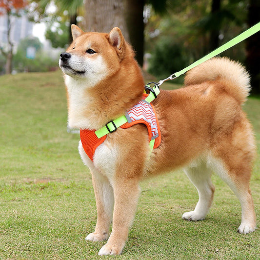 Soft Mesh Dog Harness and Leash Set - Reflective Breathable Vest for Small to Large Dogs - Happy Tail Center