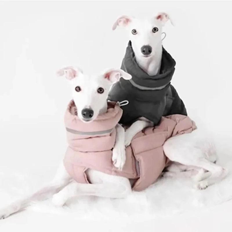 Winter Adjustable Dog Down Jacket - Windproof and Waterproof - Happy Tail Center