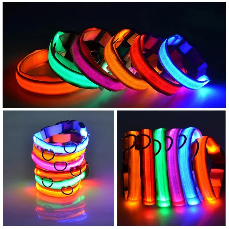 USB Charging LED Dog Collar | Safety Night Light Flashing Necklace for Dogs