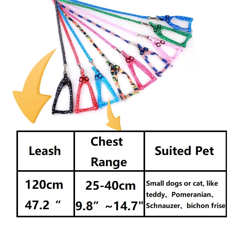Cute Small Dog Leash and Harness Set β Puppy Lead Rope for Cats and Kittens - Happy Tail Center