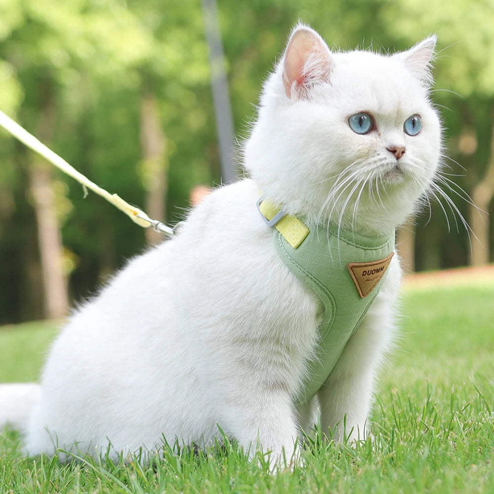 Stylish Cat and Dog Harness with Leash Set: Comfort and Style Combined