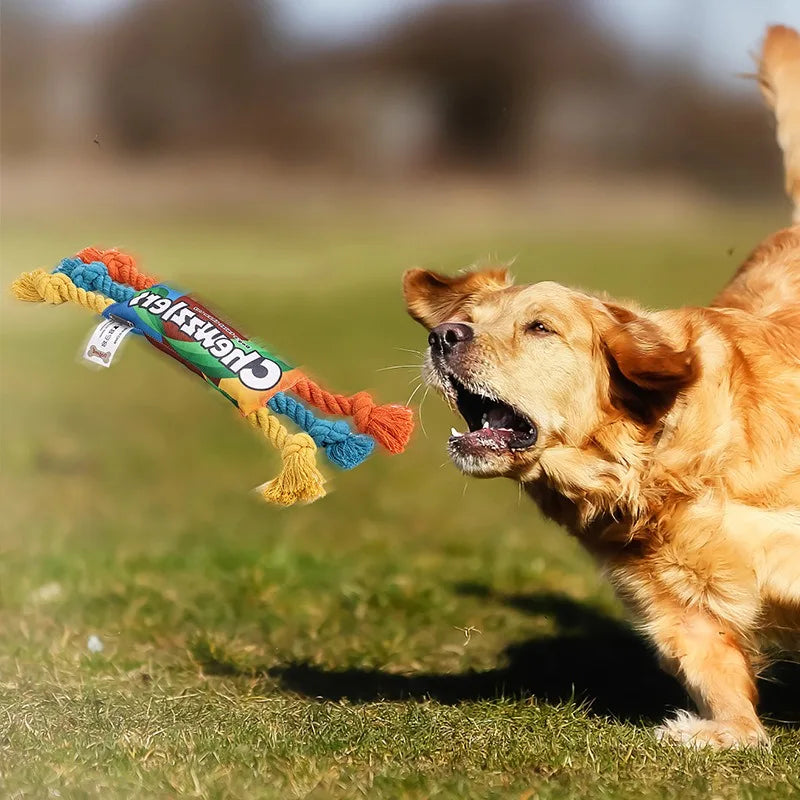 Squeaky Pet Dog Chew Toy β Ideal for Molar Training - Happy Tail Center