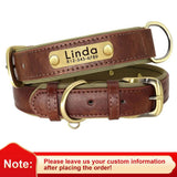 Soft Padded Leather Dog Collar with Custom ID Nameplate: Free Engraving