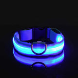 LED Nylon Dog Collar - Night Safety Light-Up Collar for Dogs