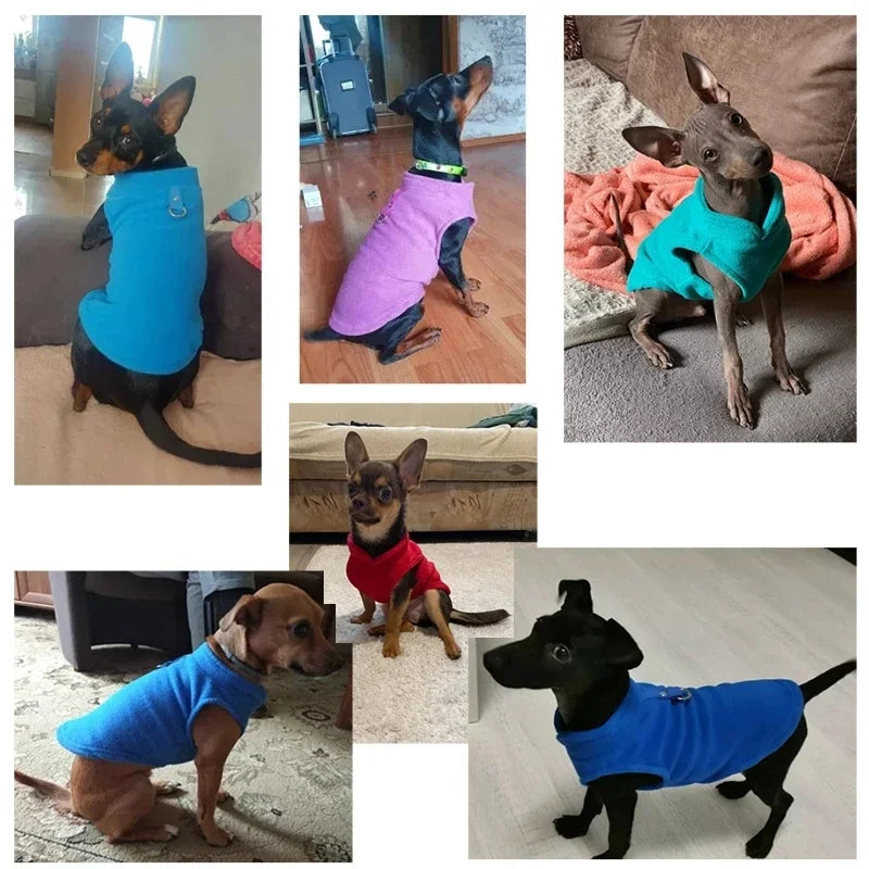 Warm Fleece Pet Jacket with D-Ring - Small Dog and Cat Vest