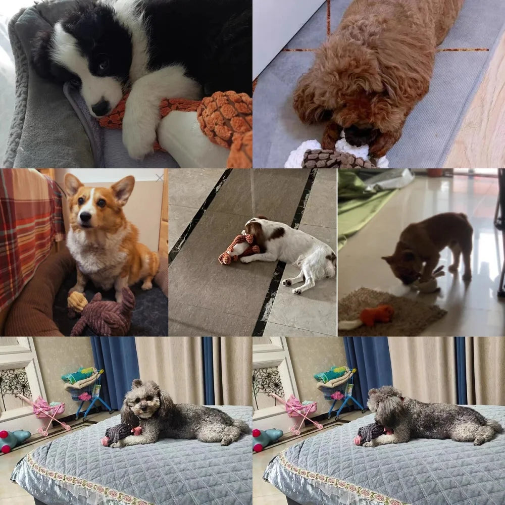 Cute Animal-Shaped Squeaky Plush Dog Toys | Bite-Resistant Corduroy for All Dogs
