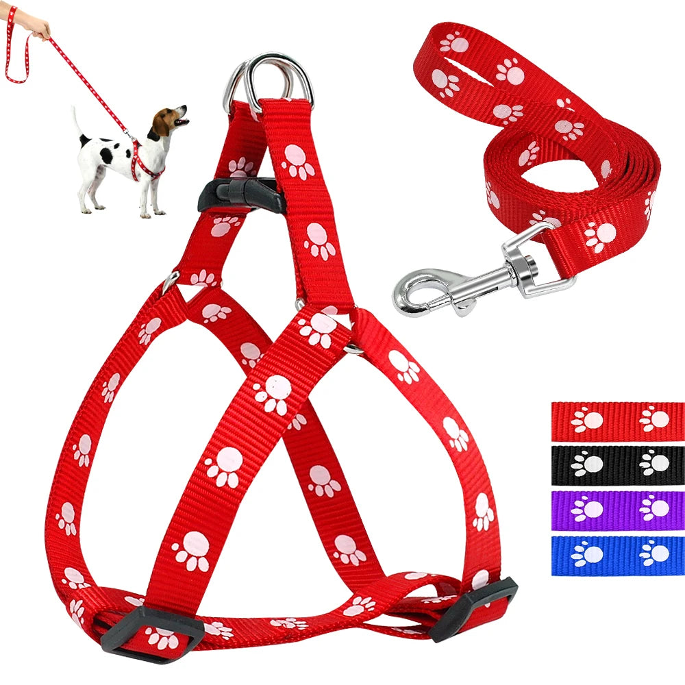 PawPrint Puppy Harness and Leash Set - Safety and Style for Your Little Pup! - Happy Tail Center