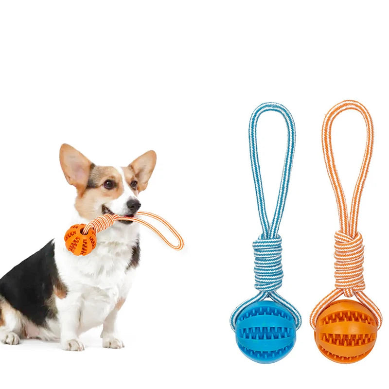 Interactive Pet Treat Balls with Rope - Engaging Rubber Toy for Dogs