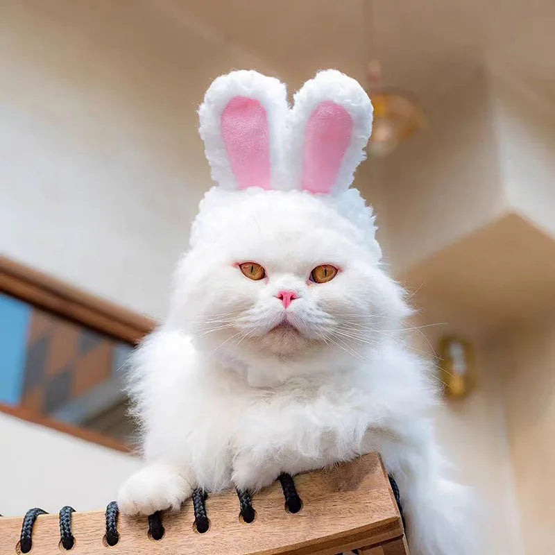 Cute Bear Rabbit Hooded Pet Hat – Cosplay Accessories for Cats and Dogs, Winter Velvet Headgear - Happy Tail Center