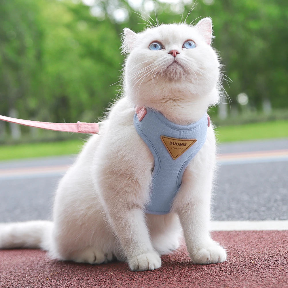 Stylish Cat and Dog Harness with Leash Set: Comfort and Style Combined
