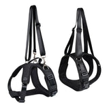 Durable Dog Lift Harness and Leash – Rehabilitation and Hip Support for Medium to Large Dogs