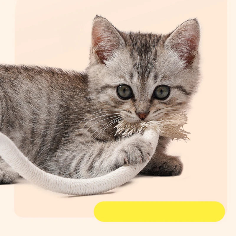 Interactive Cat Chew Toy - Cotton Rope Silvervine Teaser for Kitten Play